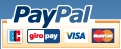 Bitoso akzeptiert PayPal